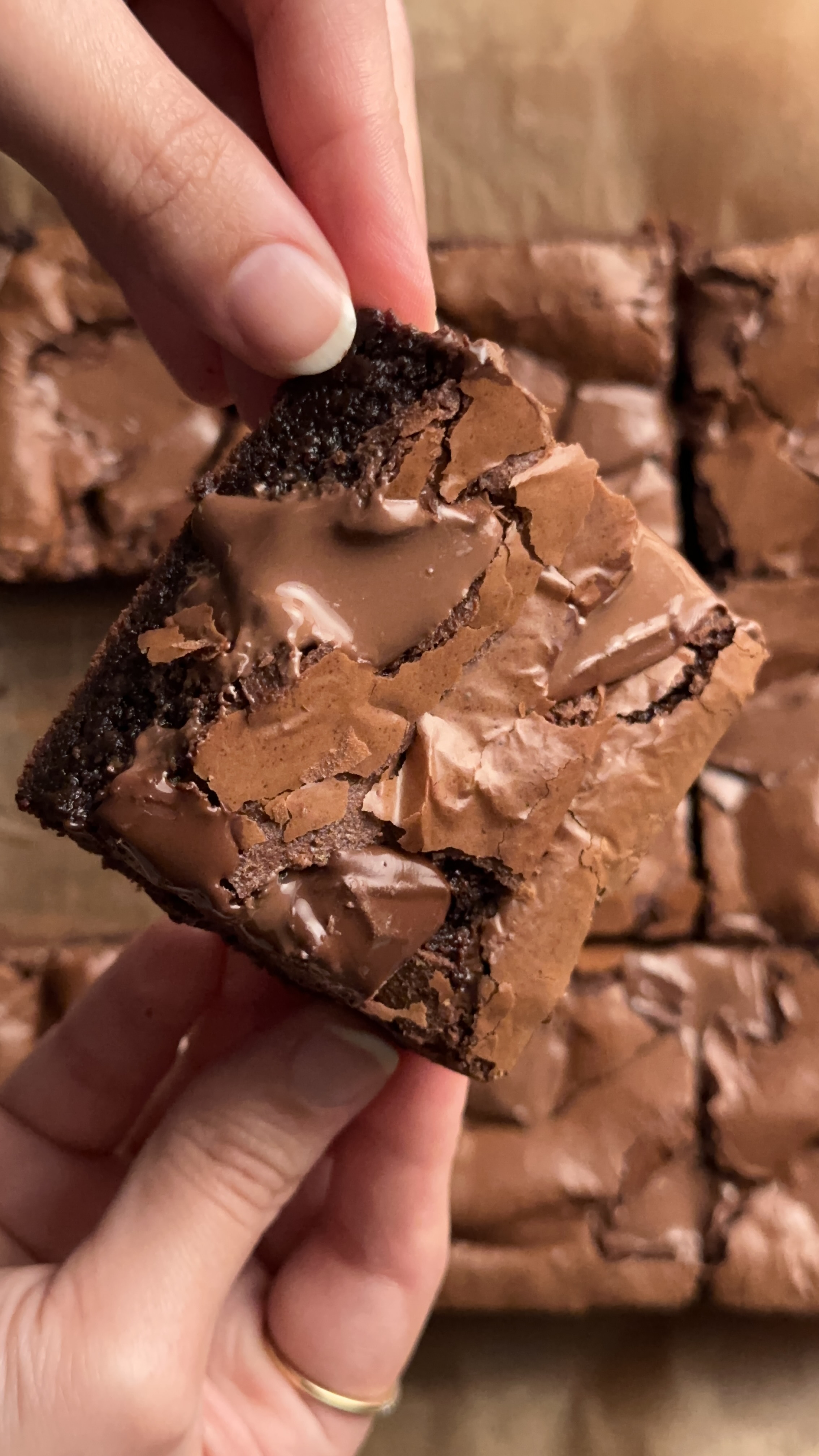 Chocolate Brownie